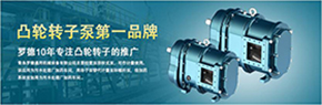 羅德轉(zhuǎn)子泵與南方某電機(jī)廠家技術(shù)交流，討論合作.