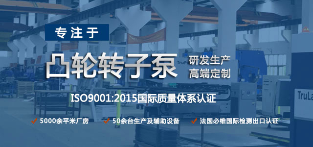 凸輪轉(zhuǎn)子泵生產(chǎn)廠家，專(zhuān)注于凸輪轉(zhuǎn)子泵的研發(fā)生產(chǎn)，高端定制